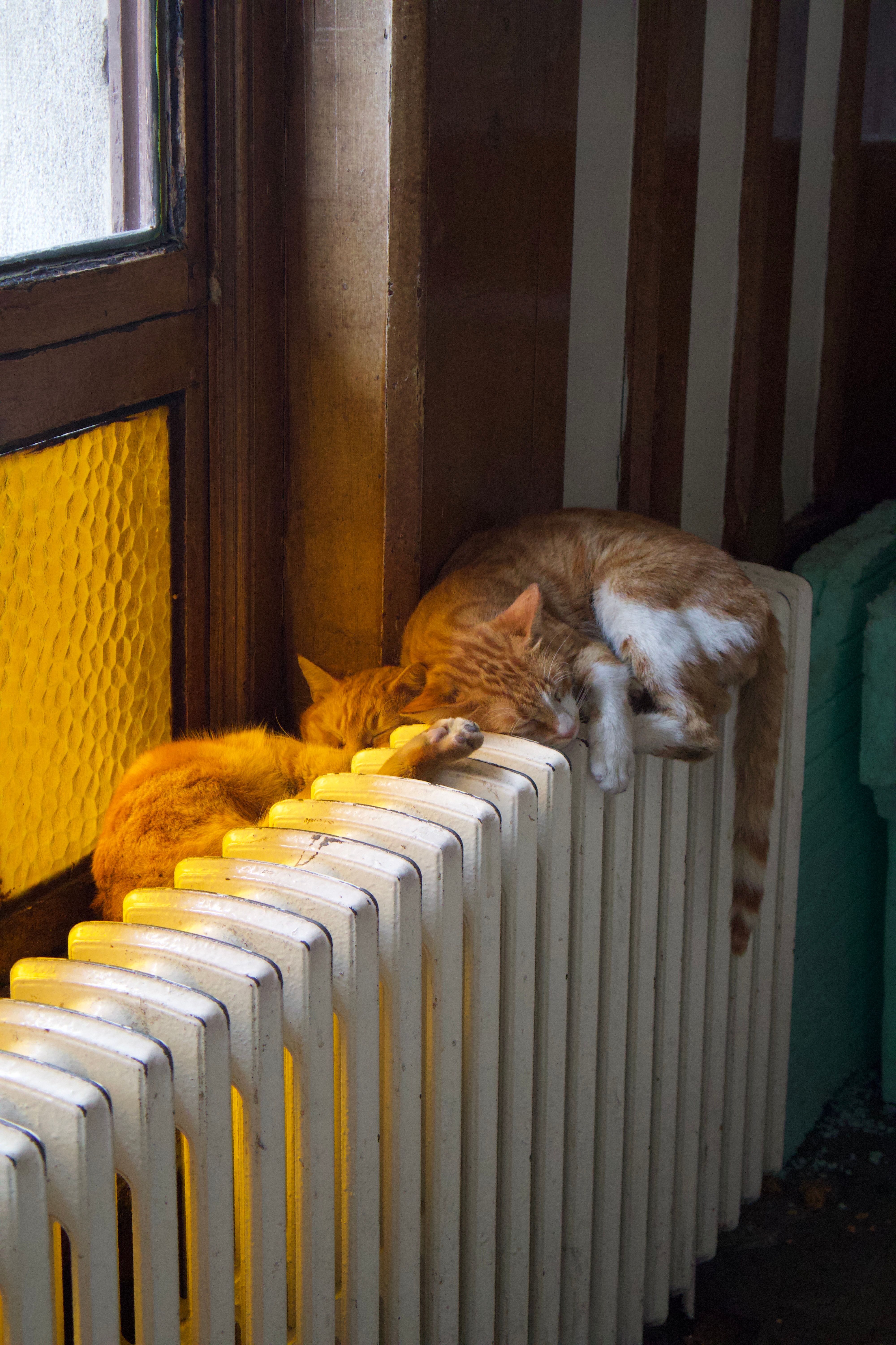 Historic Cast Iron Radiator